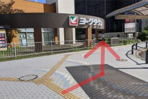 ヨークタウン赤塚のゲートを進みますと、左手に当院が見えてきます。